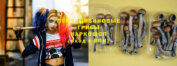 apvp Ладушкин