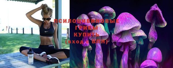 apvp Ладушкин